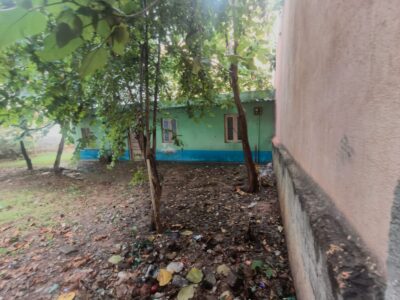 Commercial plot