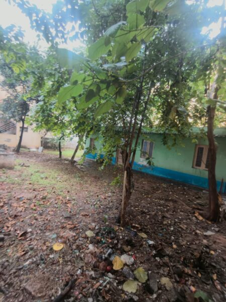Commercial plot